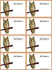 Owl Nametags
