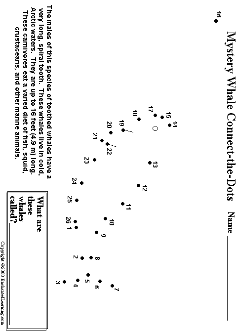 Search result: 'Narwhal Connect-the-Dots'