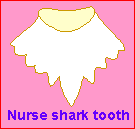 Search result: 'Nurse SHARK'