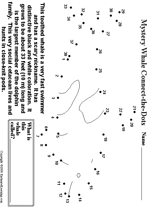 Search result: 'Orca, Killer Whale Connect-the-Dots'