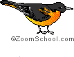 oriole