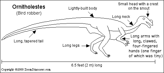 Search result: 'Ornitholestes Printout'