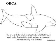 Search result: 'Orca Coloring Page'