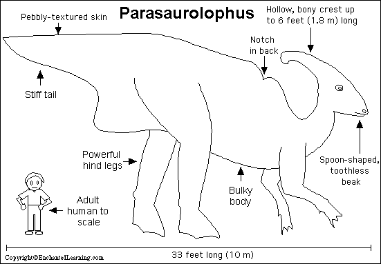 Search result: 'Parasaurolophus Printout'