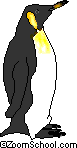 penguin