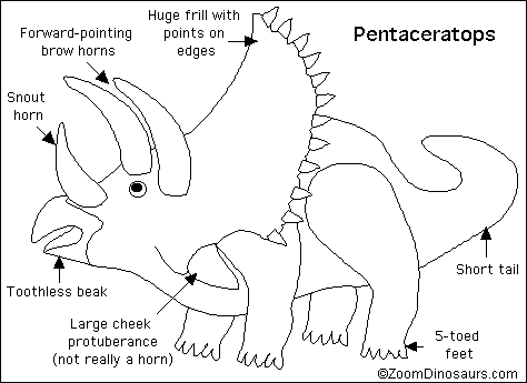 Search result: 'Pentaceratops Printout'