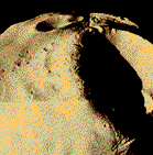 Phobos photo 2