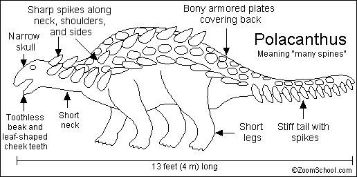 Search result: 'Polacanthus Printout'