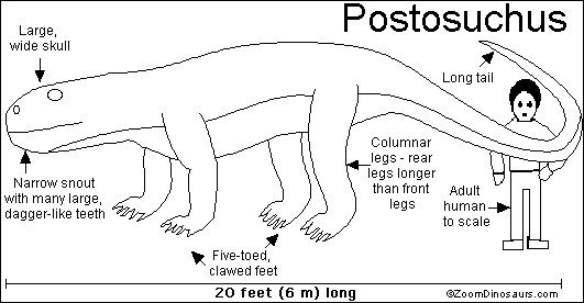 Search result: 'Postosuchus Printout'