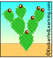 Prickly Pear