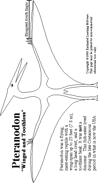 Pteranodon