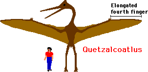 Quetzalcoatlus Enchanted Learning Software