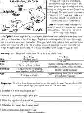 Worksheet