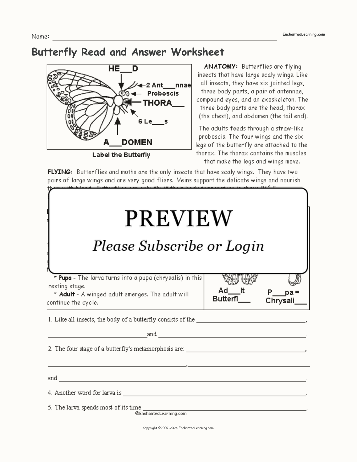 Butterfly Read and Answer Worksheet interactive worksheet page 1