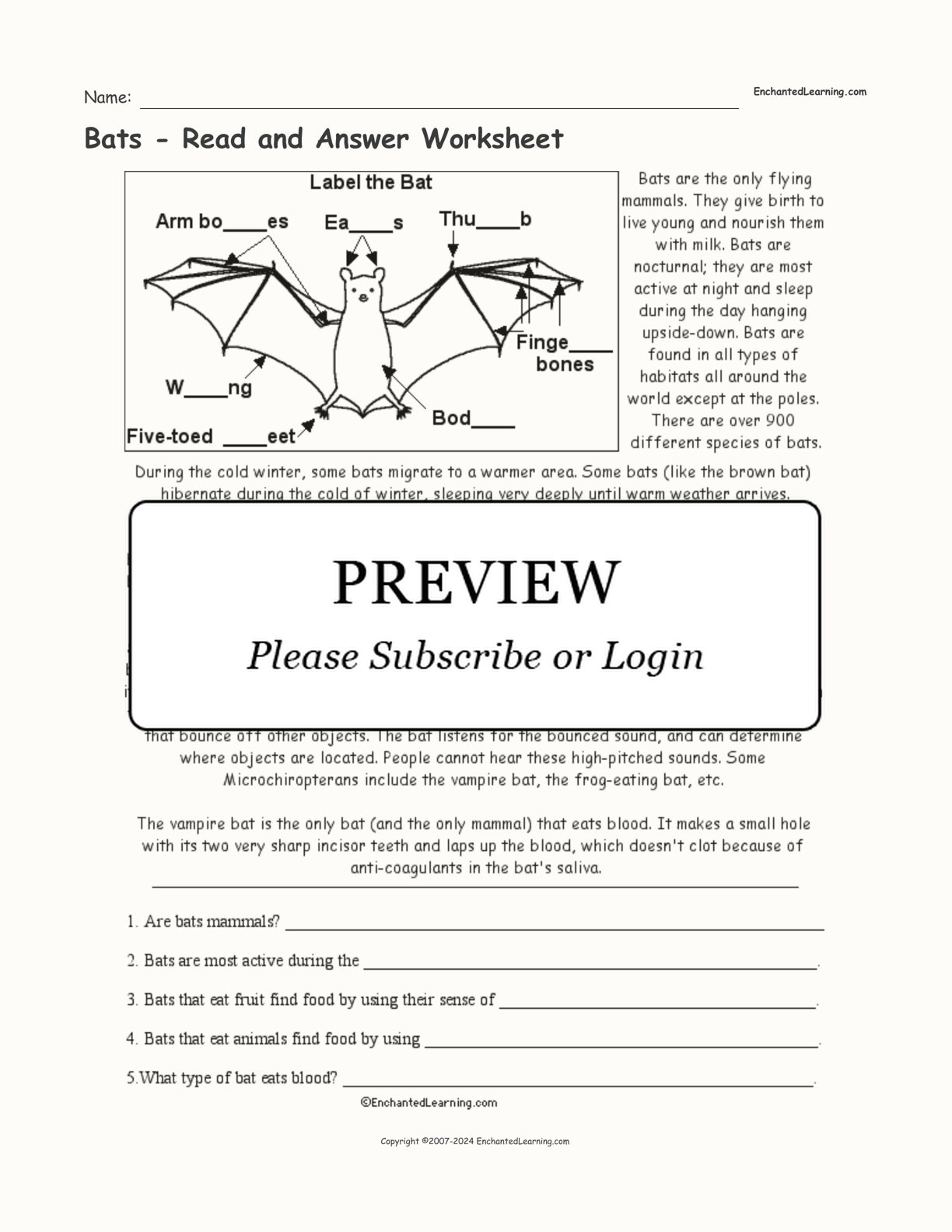 Bats - Read and Answer Worksheet interactive worksheet page 1