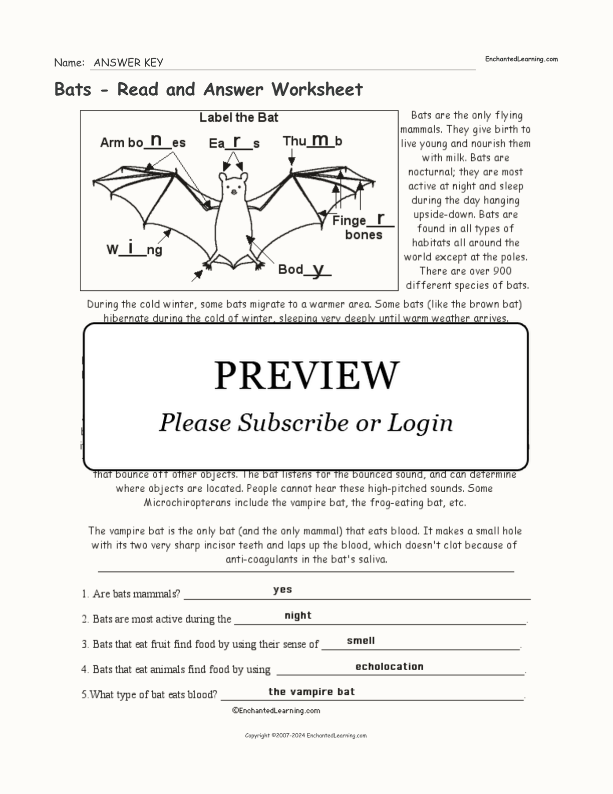 Bats - Read and Answer Worksheet interactive worksheet page 2