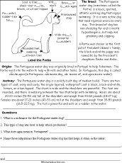 Worksheet