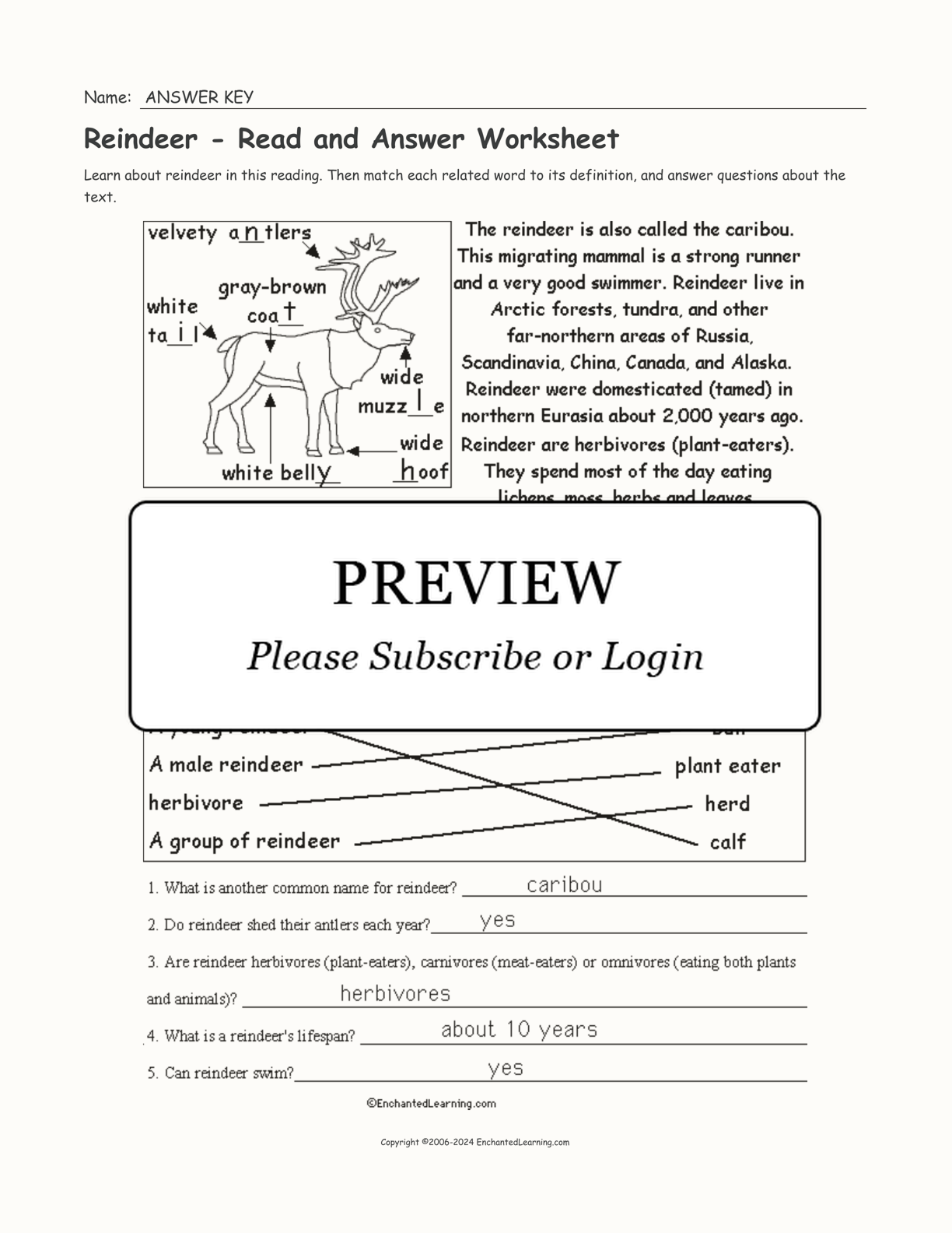 Reindeer - Read and Answer Worksheet interactive worksheet page 2