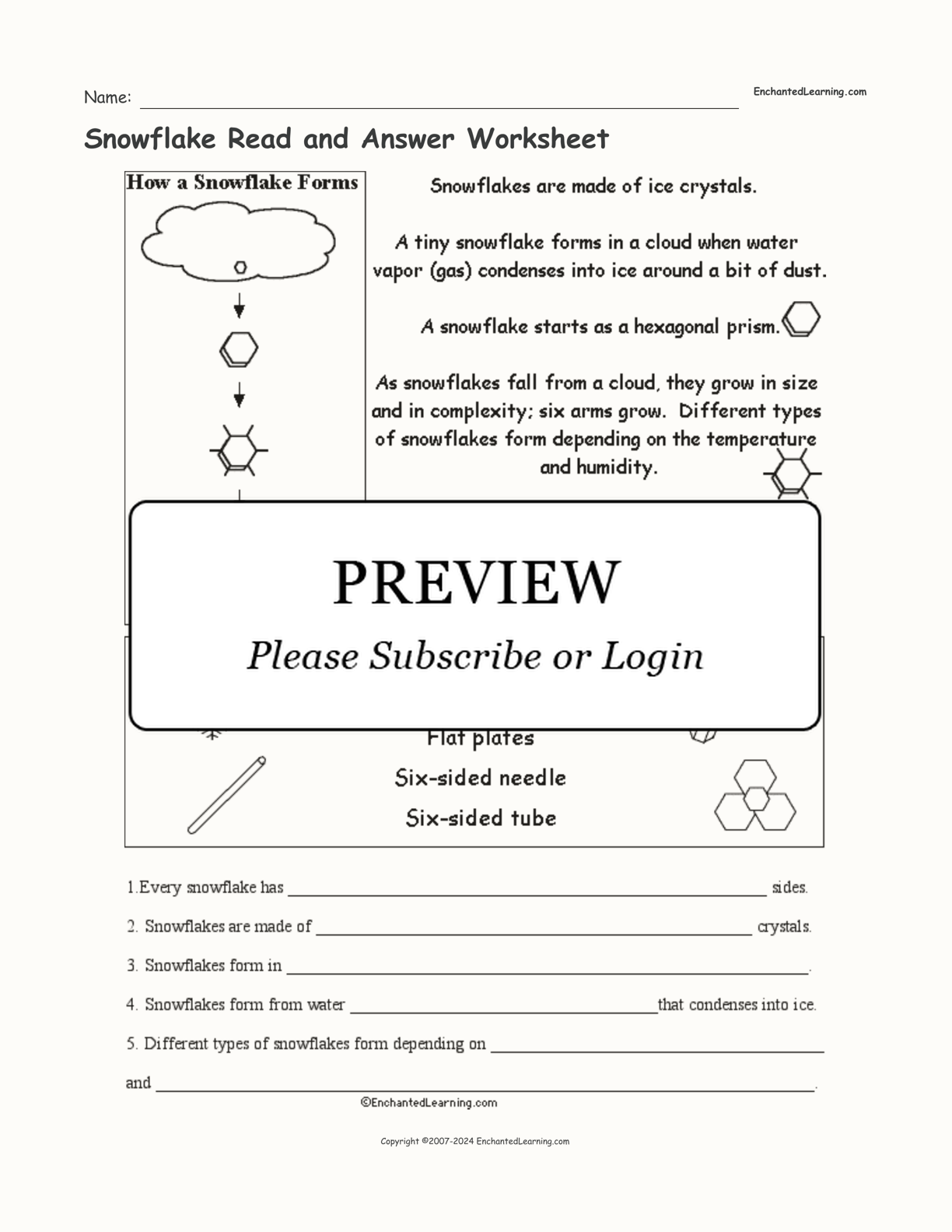 Snowflake Read and Answer Worksheet interactive worksheet page 1
