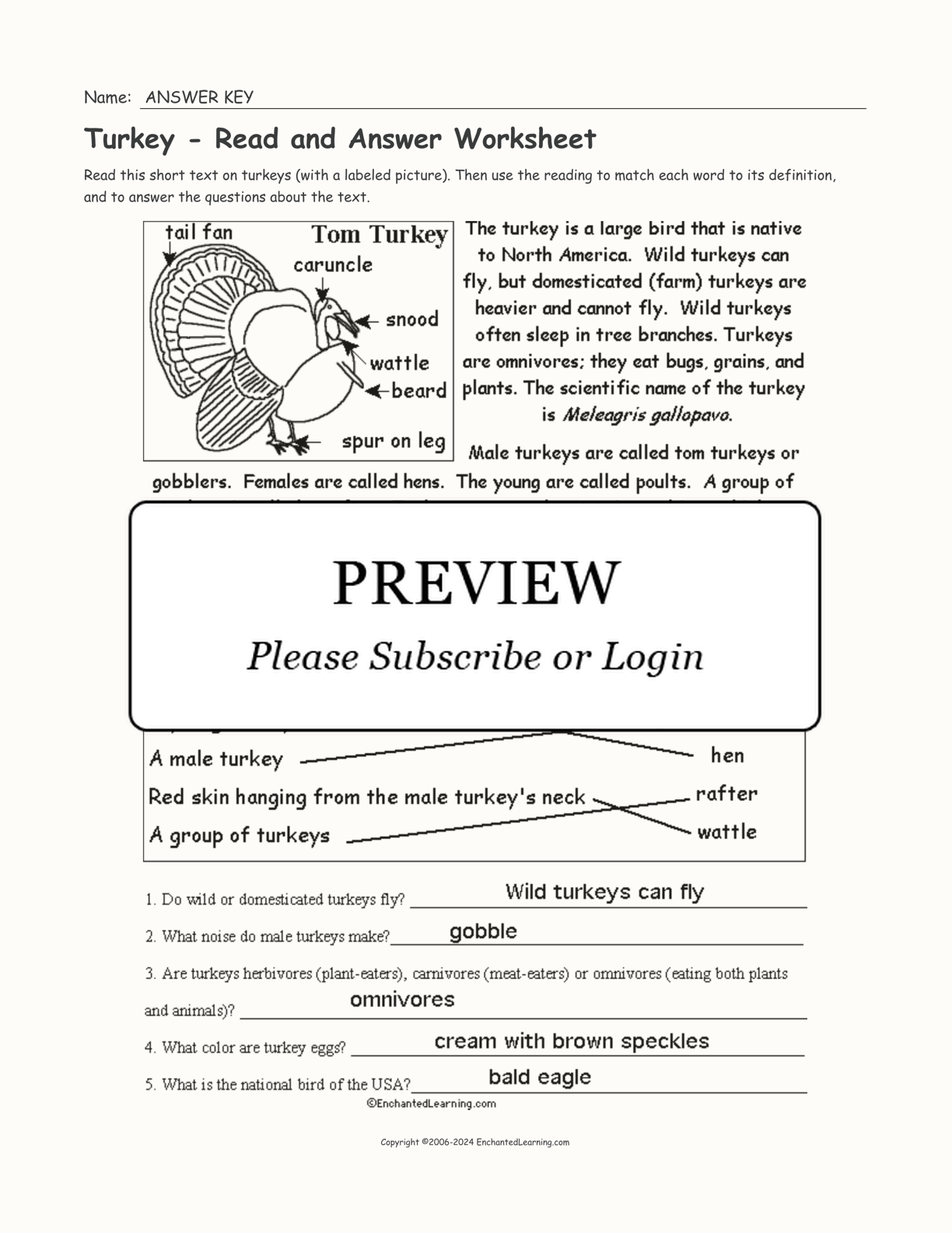Turkey - Read and Answer Worksheet interactive worksheet page 2