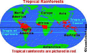 Where Are Rainforests Enchantedlearning Com