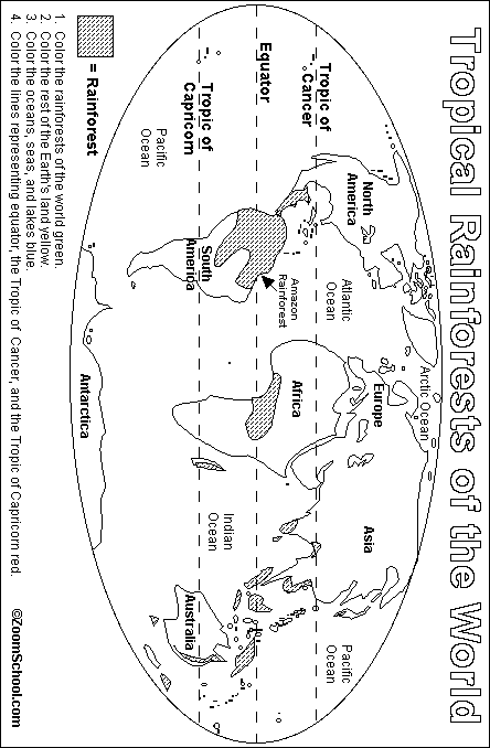 Search result: 'Rainforest Map Printout'