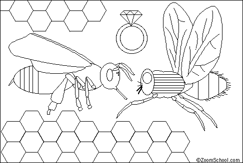 Search result: 'The Fly has Married the Bumblebee Printout'