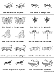 Search result: 'Color the Insects on the Left or Right - Learning Left and Right'