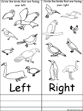 Search result: 'Circle Birds Facing Left or Right - Learning Left and Right'
