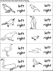 Search result: 'Circle the Direction Birds are Facing - Learning Left and Right'