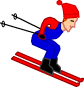 ski