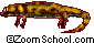 Salamander