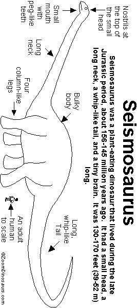 Seismosaurus