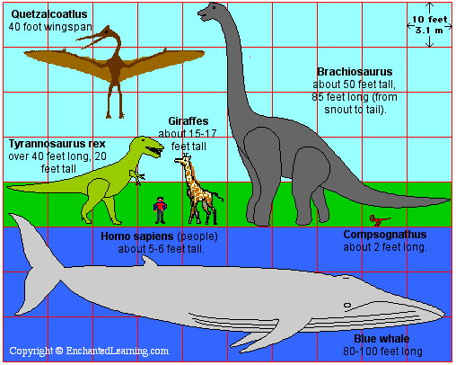 Dinosaur Sizes Comparison Chart