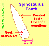 Search result: 'Spinosaurus'