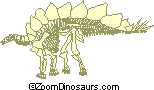 Stegosaurus Skeleton