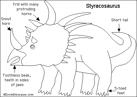 Search result: 'Styracosaurus Printout'
