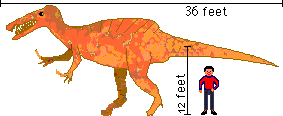 Suchomimus