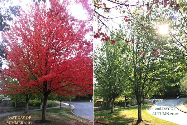 Fall Foliage