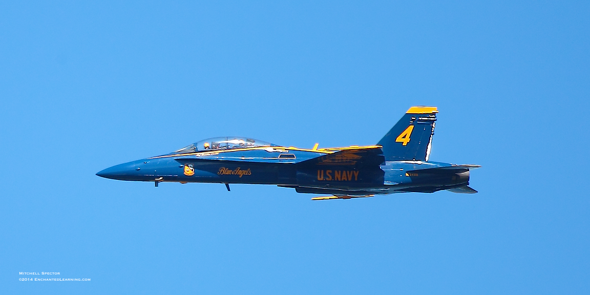 Blue Angel Pilot