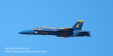 Blue Angel Pilot