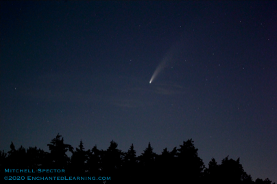 Comet NEOWISE in Seattle Skies