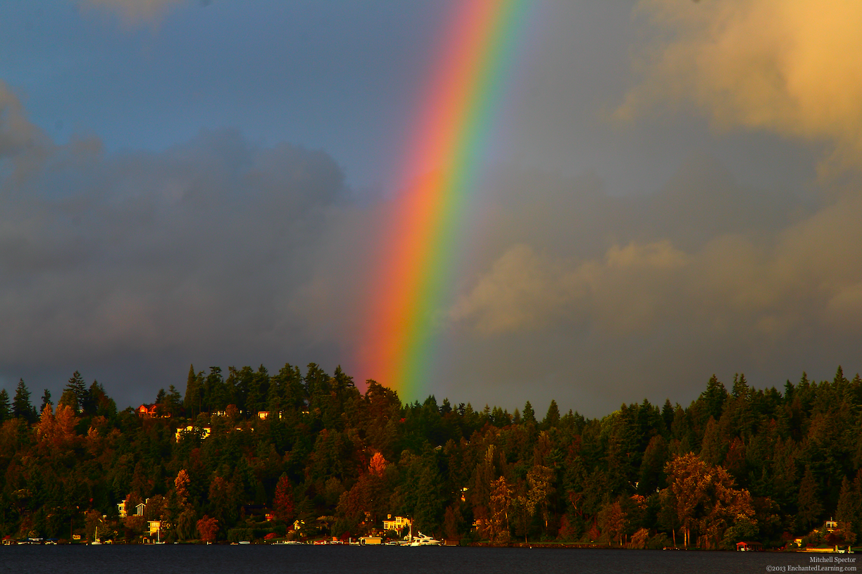 Rainbow over Bellevue Close-up
