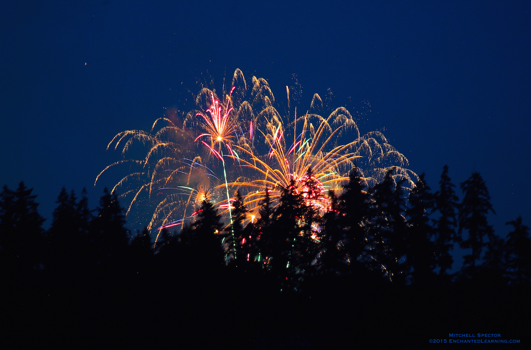 Fireworks Behind the Trees of Bellevue