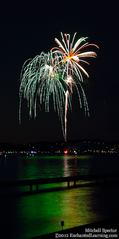 Palm Tree and Willow in Fireworks