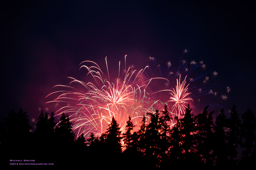 Fireworks Glowing Red Behind Trees