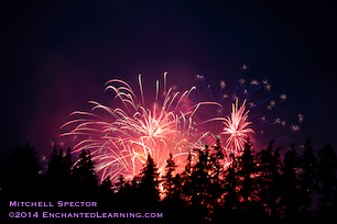 Fireworks Glowing Red Behind Trees