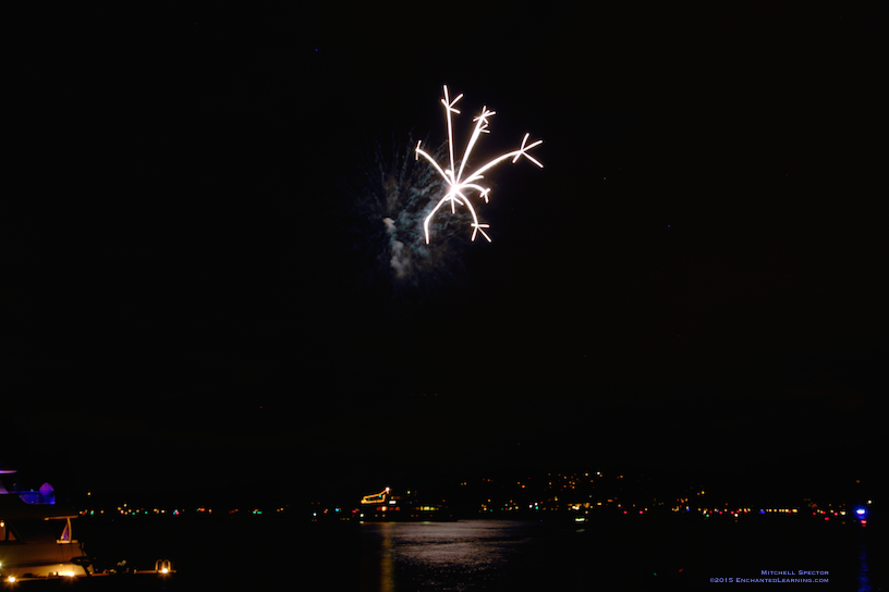 One Moment in a Fireworks Display