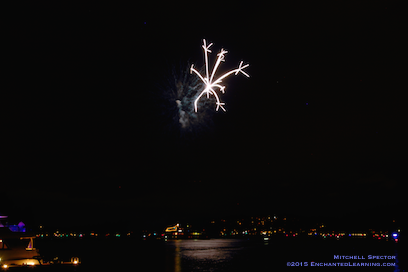 One Moment in a Fireworks Display