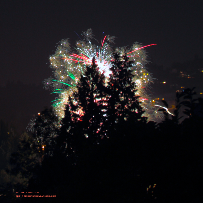 A Feathery Cloud of Fireworks
